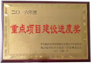 重點(diǎn)項目建設進(jìn)度獎